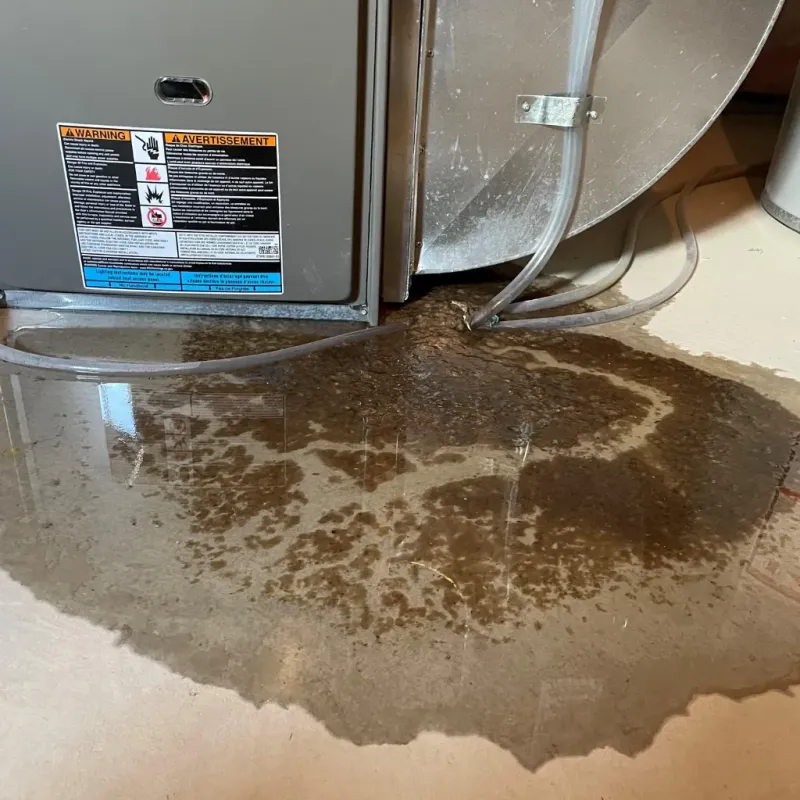 Appliance Leak Cleanup in Bushnell, FL